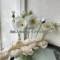 画像340