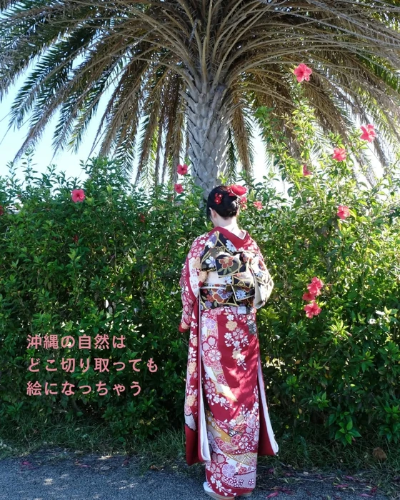 画像649